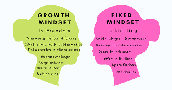 Mindset Theory