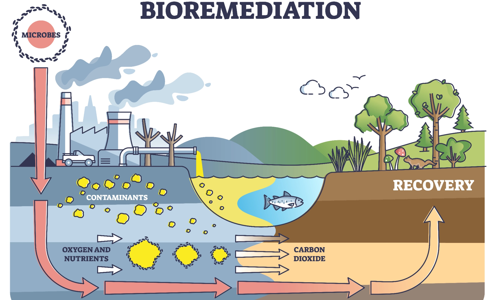 Bioremediasi