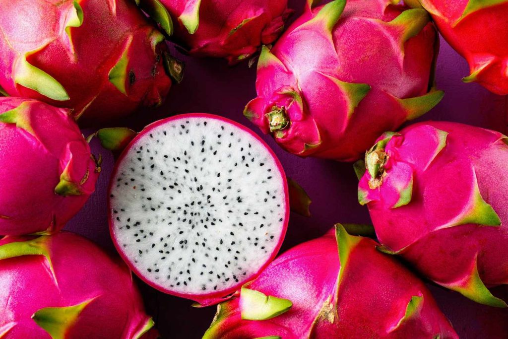 Dragon Fruit Farming