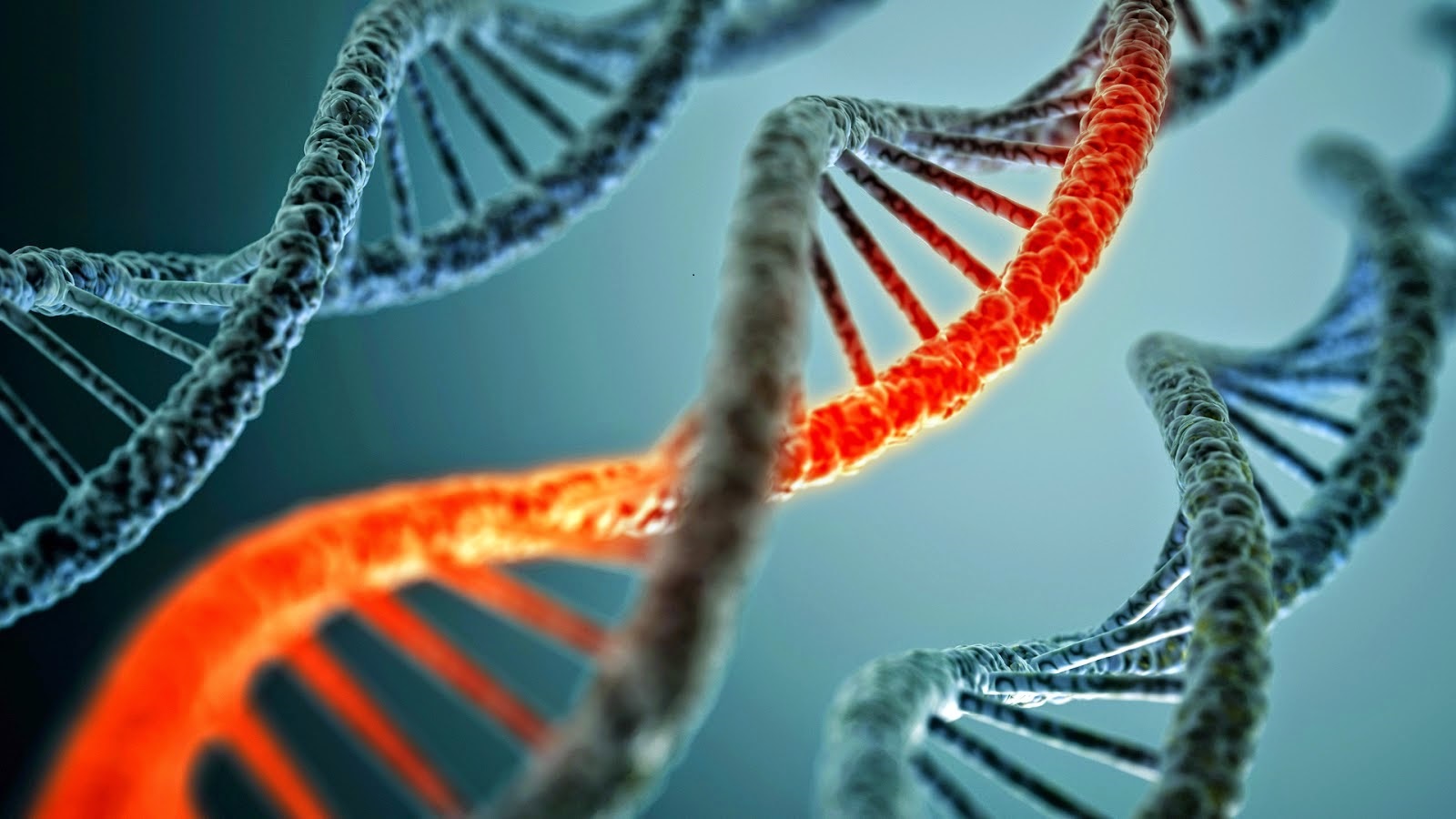 Biologi Sel Molekuler