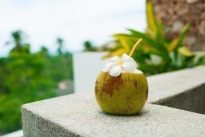 Coconut Knowledge