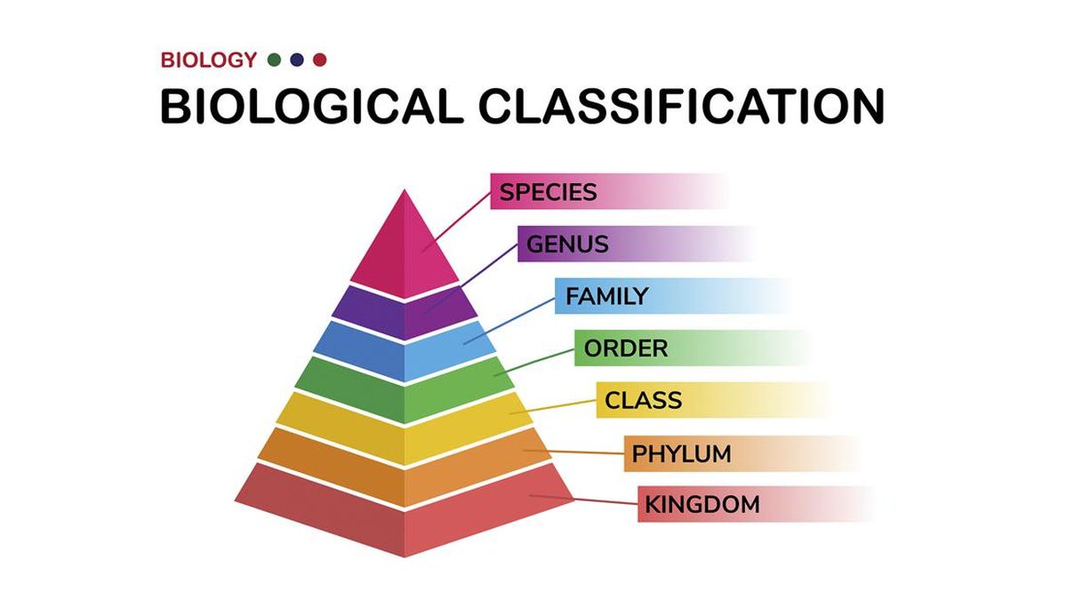 Taksonomi Biologi