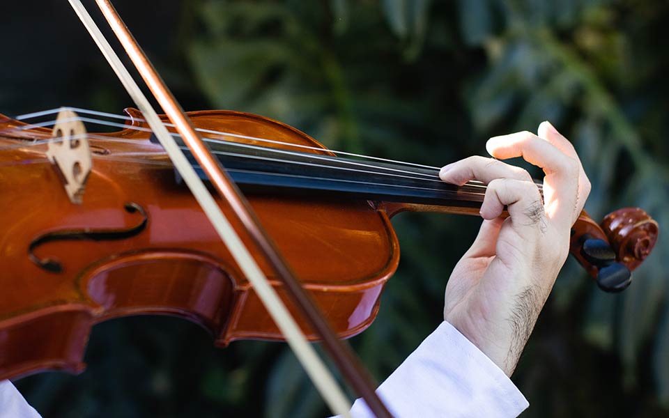 Seni Musik