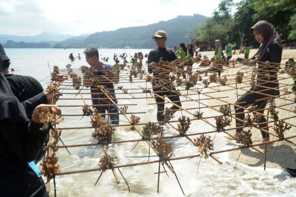 Konservasi Satwa Laut: Pentingnya Menjaga Ekosistem Laut
