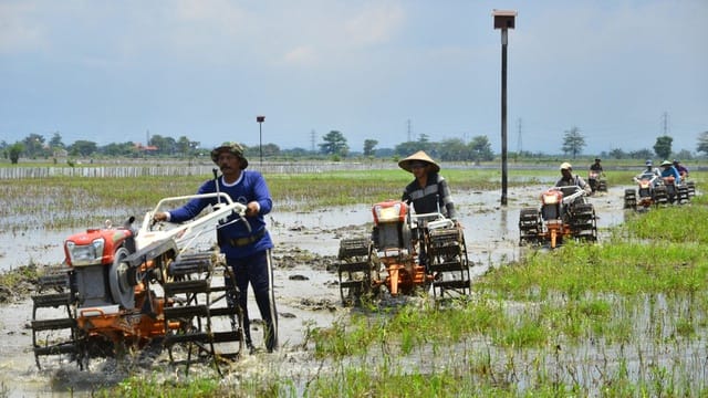 Sosiologi Kehidupan Sosial