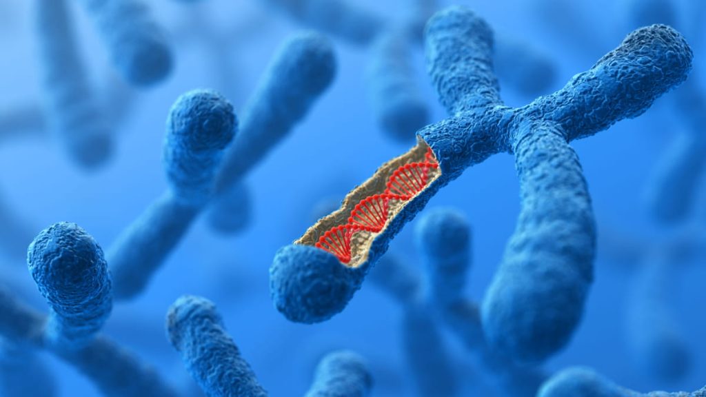 Genetika Dasar: Memahami DNA dan Pewarisan Sifat