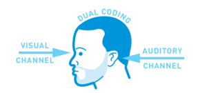 Dual Coding