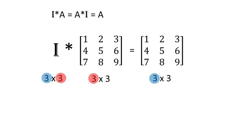 Matriks Matematika: Konsep Dasar dan Notasi yang Harus Dipahami