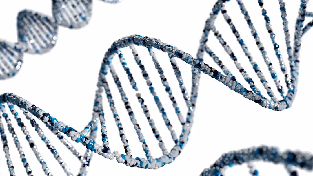 Genetika Dasar Biologi: Mengenal DNA, Gen, dan Kromosom Lebih Dekat