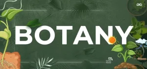 Botany Basics