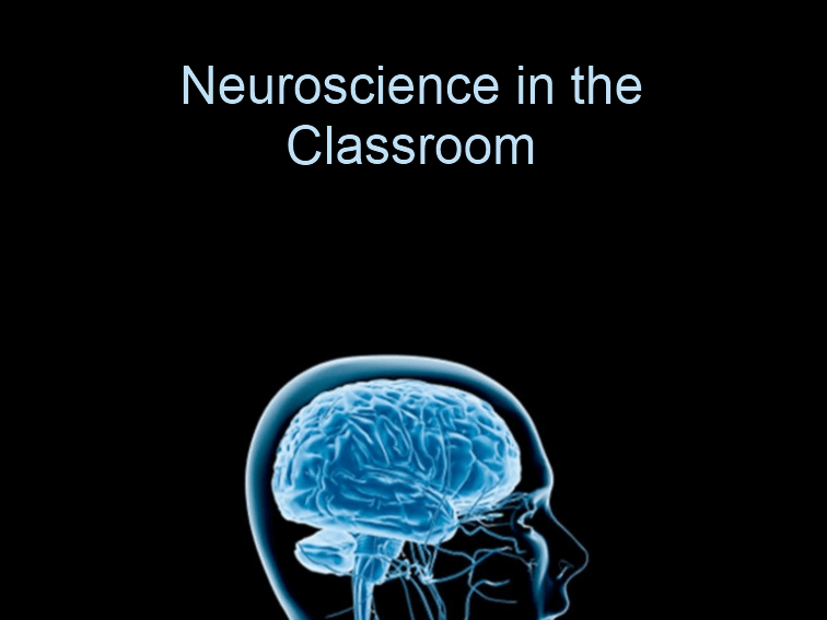 Neuroscience Basics