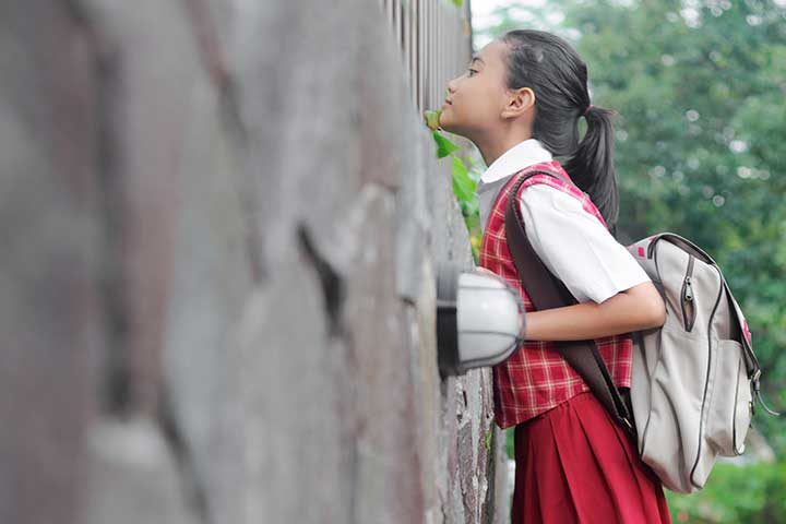 Adaptasi Lingkungan Sekolah