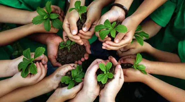 Environmental Education