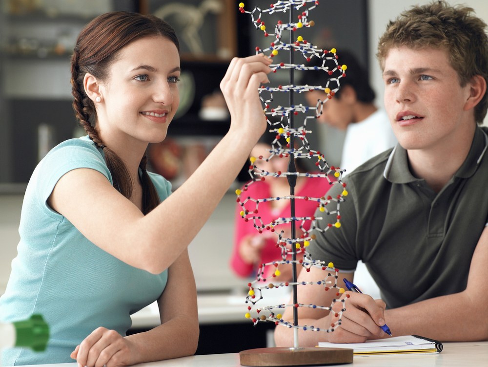 Discovery Learning