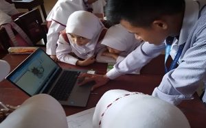 Sains Dasar